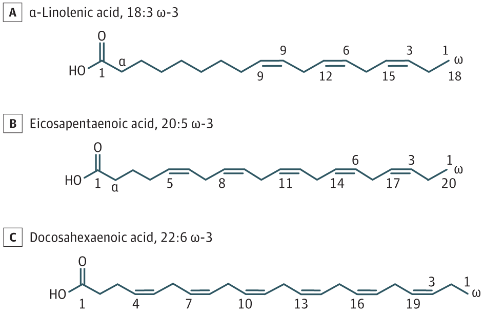 Association of Dietary Fatty Acid Intake With Glaucoma in the United States